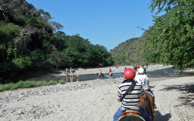Horses crossing the river