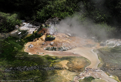 Small geyser and mineral deposits in the hot stream