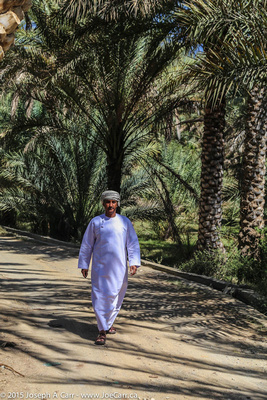 Omani man walking under the oasis date palms