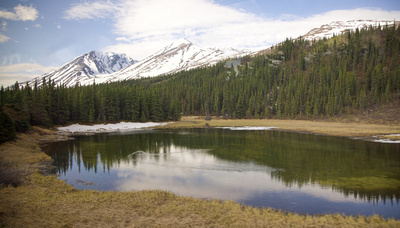 Pond and meadow with snow-covered mountains and clouds reflected in the water