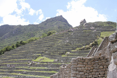 Terraces below Lookout