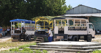 Truck owners offering tours of the island