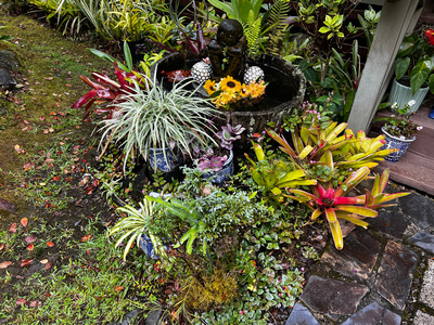 Tropical garden at Volcano Garden Arts