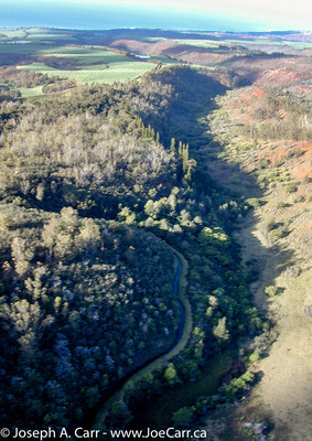 Olokele Canyon and  irrigation ditch