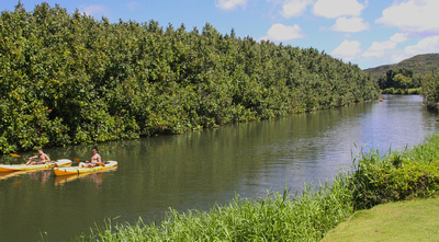 Paddlers on the Hanalei River