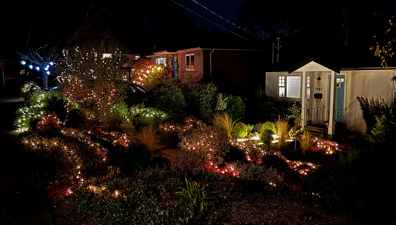 Festive lights on neighbourhood home
