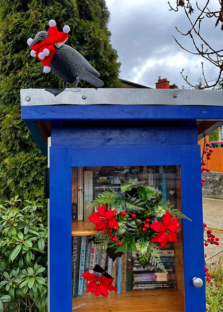 A Little Library decorated for Christmas including a crow on top