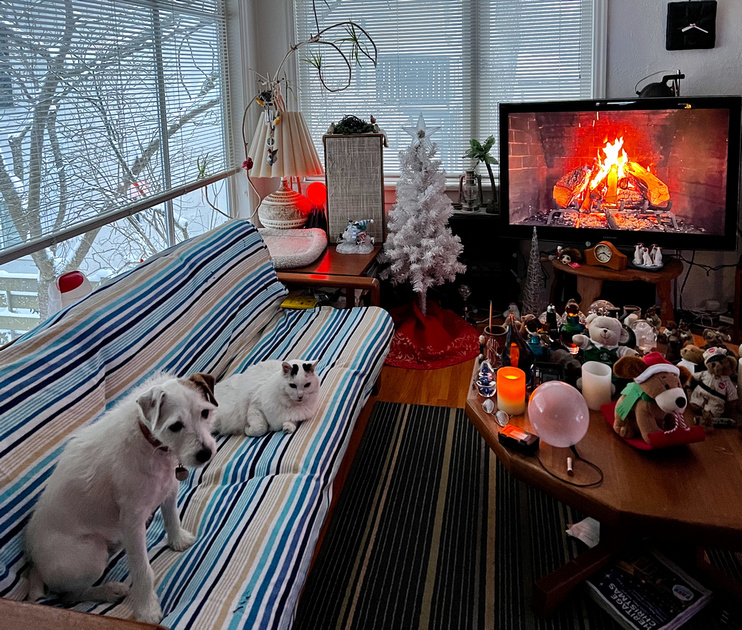 Rolly and Mello sharing the sofa with the TV fireplace and festive decorations