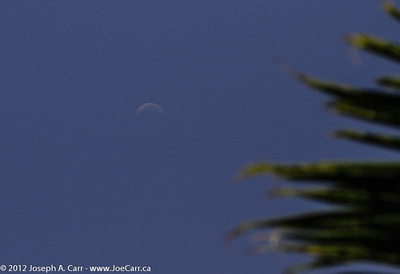 24 day old waning Crescent Moon