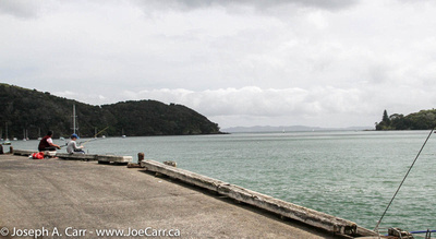Fishing from the Mangonui fish dock