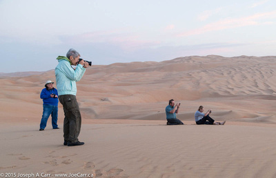 Group on the sand dunes in the pre-dawn