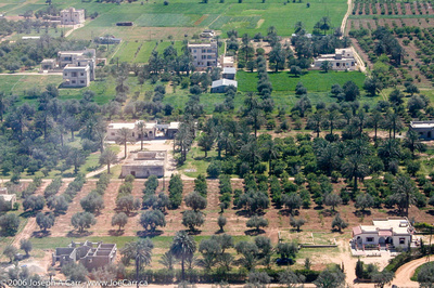 Olive groves on approach to Tripoli airport