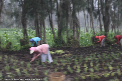 Villagers working in the fields
