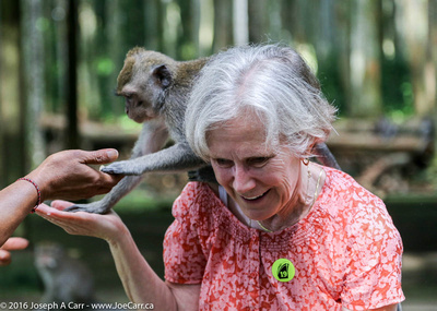 Monkey climbing on a a woman