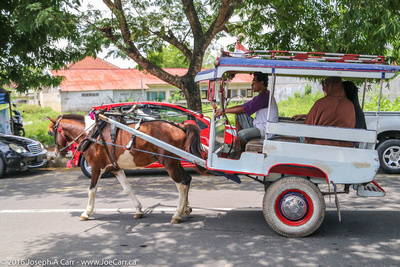 Street traffic, including a traditional horse cart called a cidomo