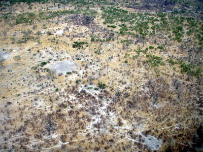 Aerial views of the Okavango Delta