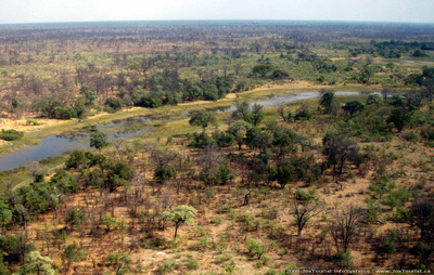 Aerial views of the Okavango Delta
