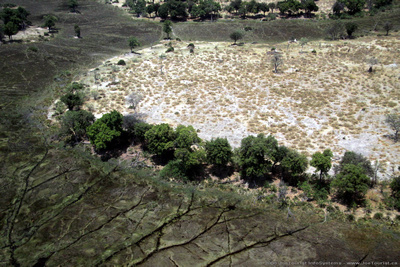 Aerial of the Okavango Delta