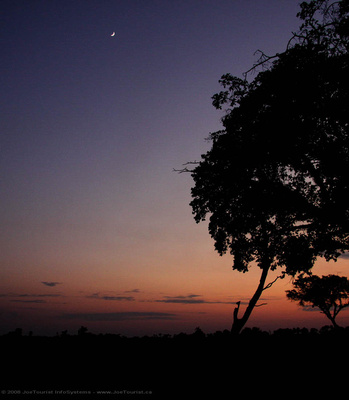Sunrise & the Moon over the Okavango Delta