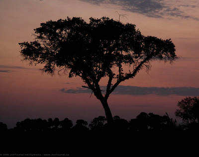 Sunrise over the Okavango Delta