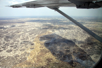 Aerial view of a burnt area near Maun