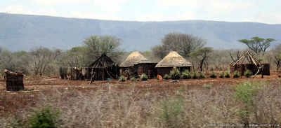 Thatched roof traditional homes