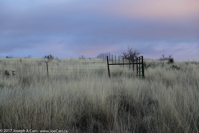 Ranch land grass and a fenceline in the early morning light