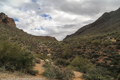 The Sonoran Desert near Old Tucson