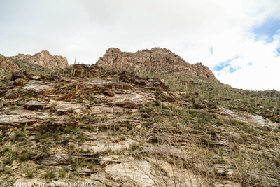 Layers of rock, the Sonoran Desert and the canyon ridge line