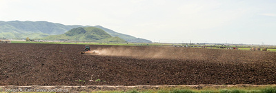 Freshly-ploughed fields