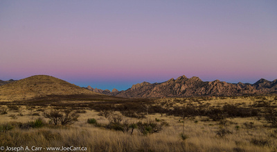 The Belt of Venus and the Dragoon Mountains