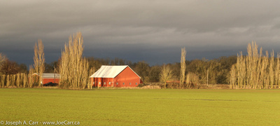 Red barn and green field at sunset