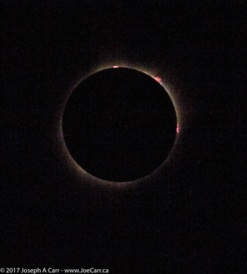Totality - Bailey's Beads