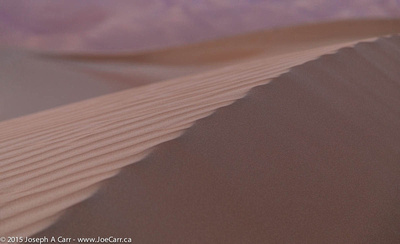 Sand dunes in the pre-dawn