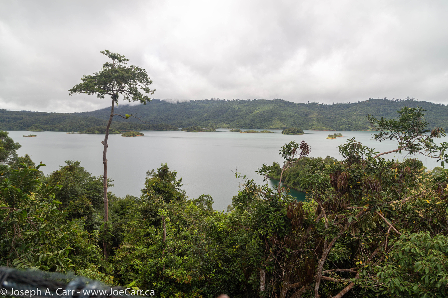 The view of the rainforest and lake from the cable walkway