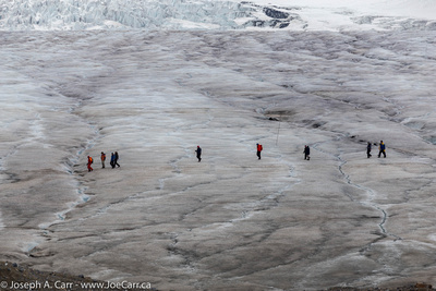 Hikers on the  Columbia Icefield
