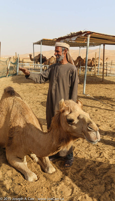 Camel owner posing with his animals