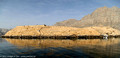 Telegraph Island