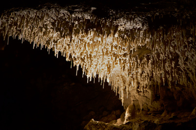 Straw staligtites in the cave
