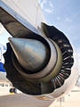 Petal engine cowling of the Boeing 787-8 Dreamliner
