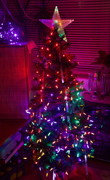Lights and a star on the Christmas tree