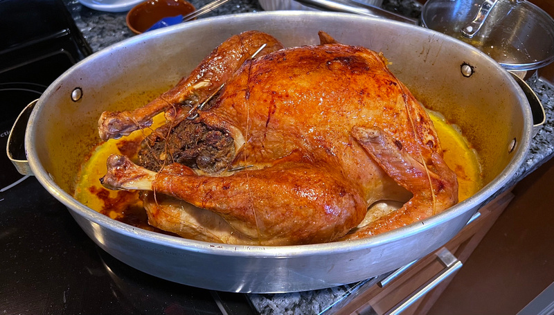 The turkey in the roasting pan