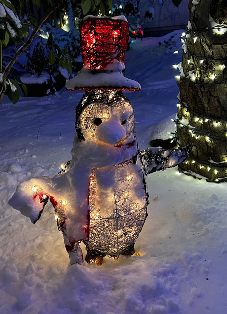 Neighborhood Christmas decorations at night - a penguin in a top hat