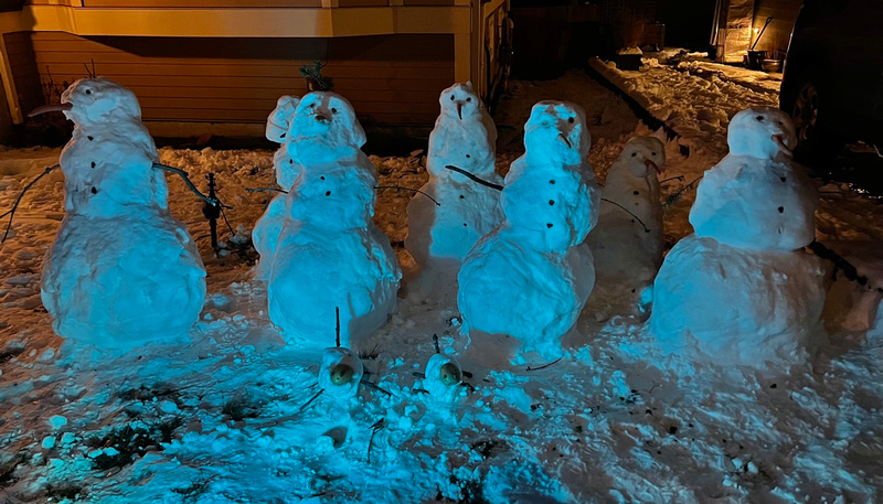 Five snowmen and their pets in a neighbourhood front yard