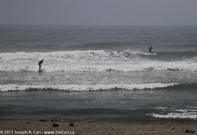 Surfers riding the waves