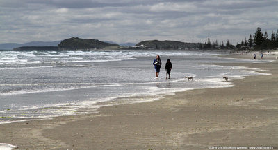 Mother & daughter & two Jack Russel Terriers on the beach