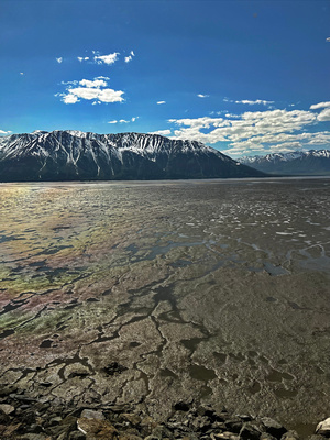 Rivulets in the mudflats, with mountains