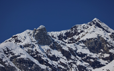 A mountain ridge from Johns Hopkins Inlet