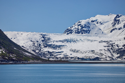 Snow-covered Reid Glacier