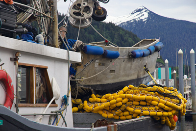 Yellow fish floats on the Orca Song